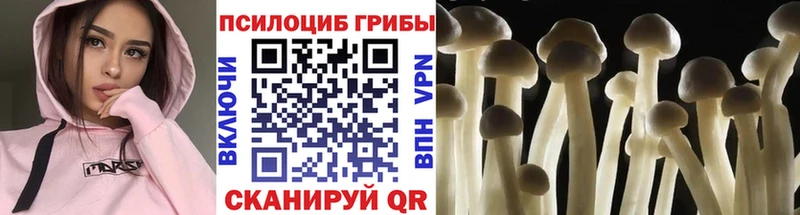 Галлюциногенные грибы прущие грибы  блэк спрут как войти  Струнино 